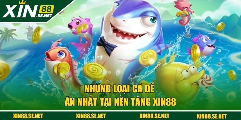 Những loại cá dễ ăn nhất tại nền tảng XIN88