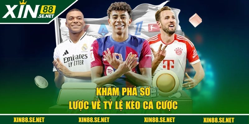 Khám phá sơ lược về tỷ lệ kèo cá cược